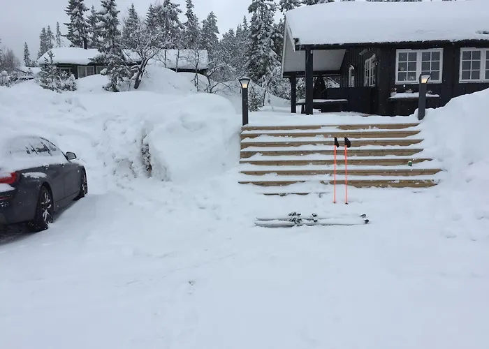 Alpstuga Hytta For 8 Personer Skiut/inn Trysil