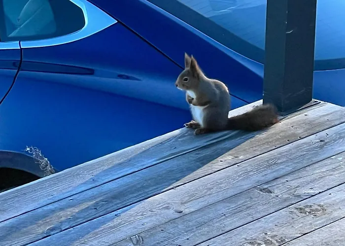 Hytta For 8 Personer Skiut/inn *