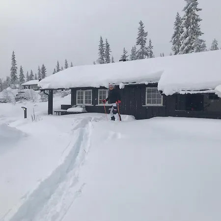 בקתה Hytta For 8 Personer Skiut/inn *