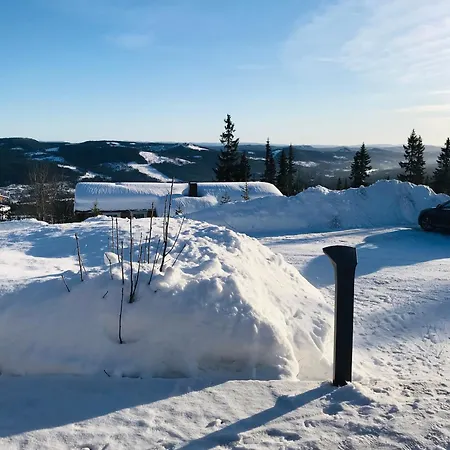 Hytta For 8 Personer Skiut/inn * טריסיל